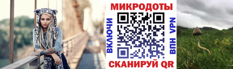 Купить закладки  Сокол  Псилоцибиновые грибы Psilocybine cubensis 
