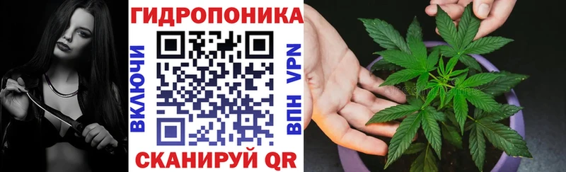 Купить  Сокол  Марихуана Bruce Banner 